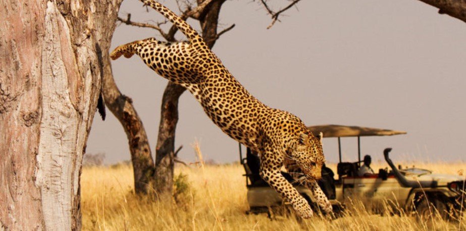 Low season Big Five wildlife safari experience in Akagera National Park Rwanda