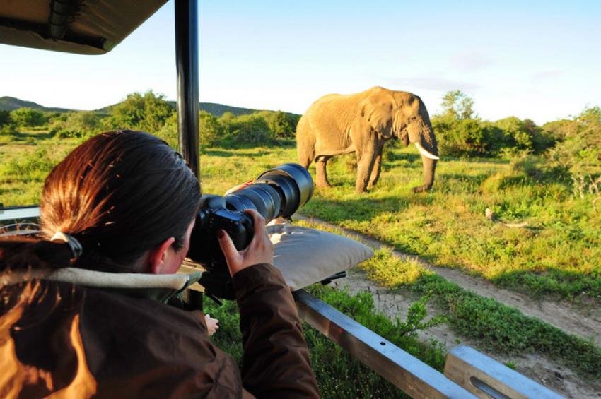 Best Photography Safari in Uganda 2027–2030 – Nextgen Safaris Best Photography Safari in Uganda 2027–2030 – Wildlife and Nature Photography