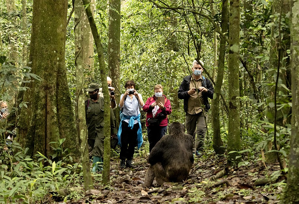 Uganda Low Season Safari Experiences 2027–2030 Explore Uganda during the low safari season from 2027 to 2030 with Nextgen Safaris