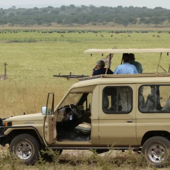 Big Five Safari Adventures from Kayonza to Akagera National Park in Rwanda – Wildlife Game Drive Experiences with Nextgen Safaris