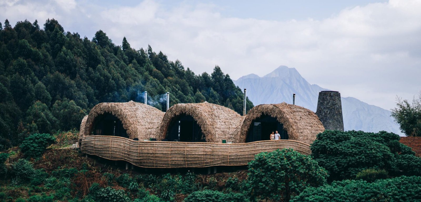 Birdwatching experience at Wilderness Bisate Reserve Rwanda