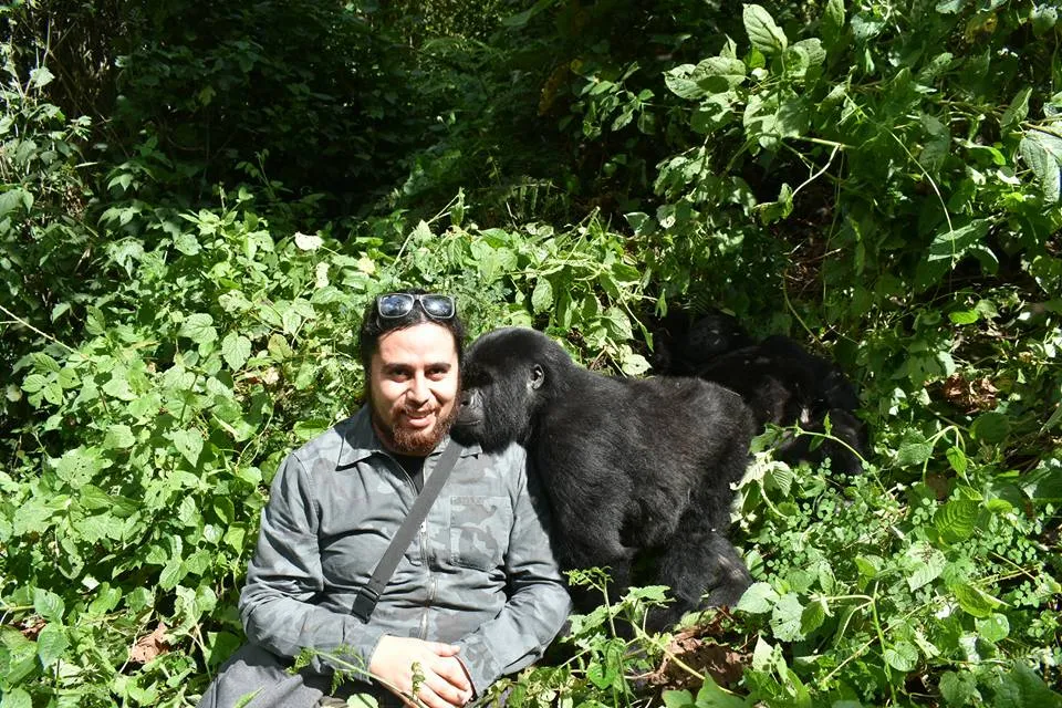 Birthday Gorilla Trekking in Uganda and Rwanda – Nextgen Safaris Birthday Gorilla Trekking in Uganda and Rwanda – Unique Birthday Safari Adventures