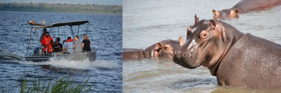 Boat safaris, wildlife photography and conservation experiences in Akagera