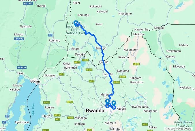 Kigali to Bwindi Budget Gorilla Trekking Road Safari Affordable gorilla trekking safari from Kigali Rwanda to Bwindi Uganda by road