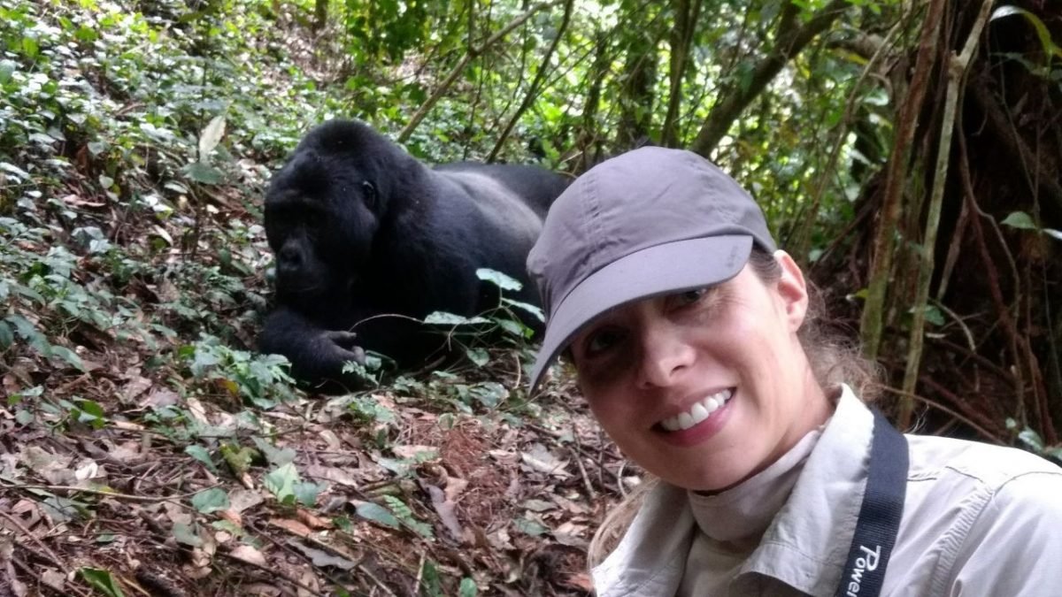 Budget Gorilla Trekking in Rwanda 2027–2030 Budget gorilla trekking in Rwanda for 2027 to 2030 with affordable safari experiences