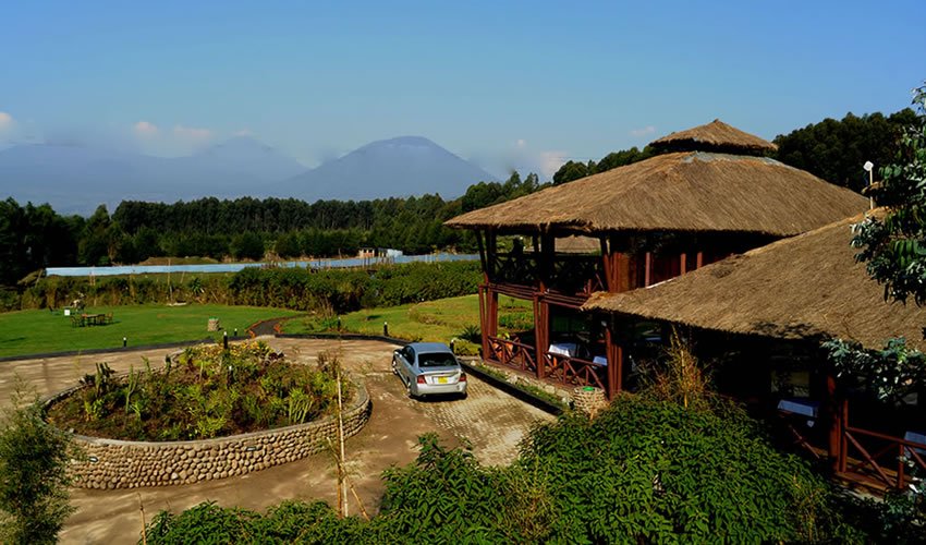 Da Vinci Gorilla Lodge accommodation in Rwanda