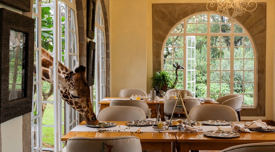 Beautiful Gardens and Hospitality at Eastern Country Hotel Beautiful gardens and relaxing hospitality at Eastern Country Hotel in Kayonza Rwanda