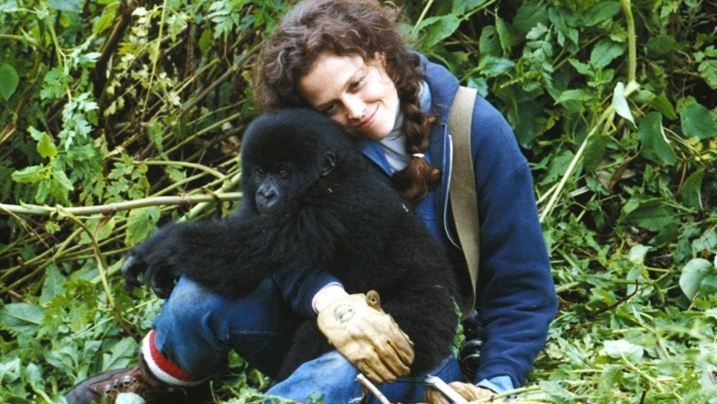 Dian Fossey gorilla conservation experiences in Rwanda