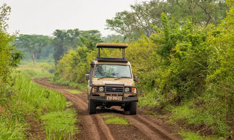 Four-Wheel Drive and High Ground Clearance – 4x4 Safari Land Cruiser for African Wildlife Safaris