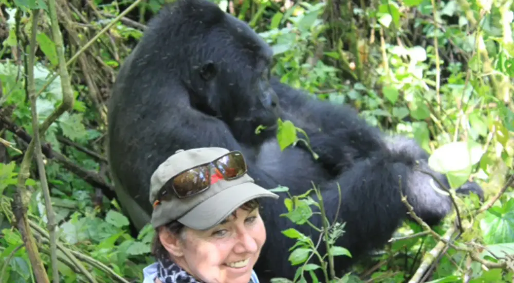 Gorilla Tours from Japan – Nextgen Safaris Gorilla Tours from Japan – Mountain Gorilla Trekking Safaris in Uganda and Rwanda with Nextgen Safaris