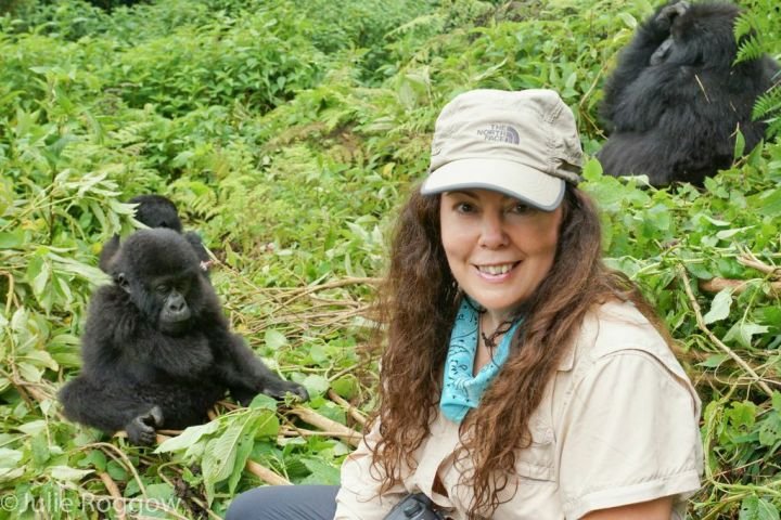 Gorilla Tours from South Korea – Nextgen Safaris Gorilla Tours from South Korea – Mountain Gorilla Trekking Safaris in Uganda and Rwanda with Nextgen Safaris