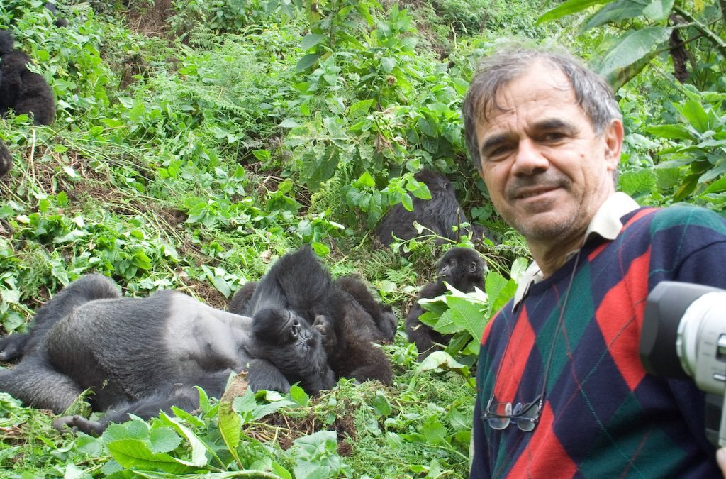 Gorilla Tours from the Philippines – Nextgen Safaris Gorilla Tours from the Philippines – Mountain Gorilla Trekking Safaris in Uganda and Rwanda for Filipino Travelers with Nextgen Safaris