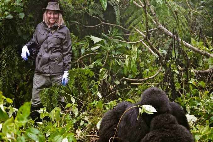 Gorilla trekking preparation and guest services in Rwanda
