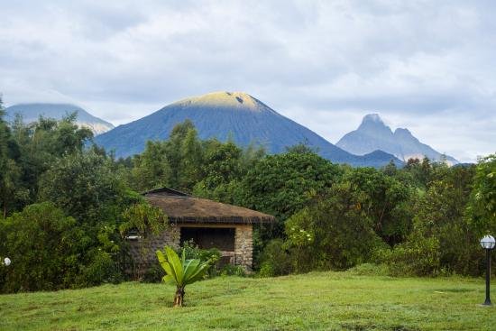 Gorilla trekking from Mountain Gorilla View Lodge in Rwanda