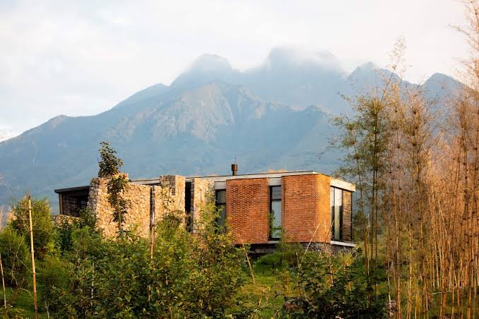 Gorilla trekking from Singita Kataza House in Rwanda