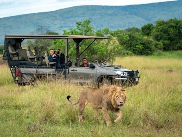 7 Days Rwanda Cultural and Wildlife Safari