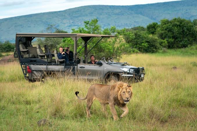 Guided Big Five Game Drives from SALT of Akagera Guided Big Five game drives from SALT of Akagera in Akagera National Park Rwanda