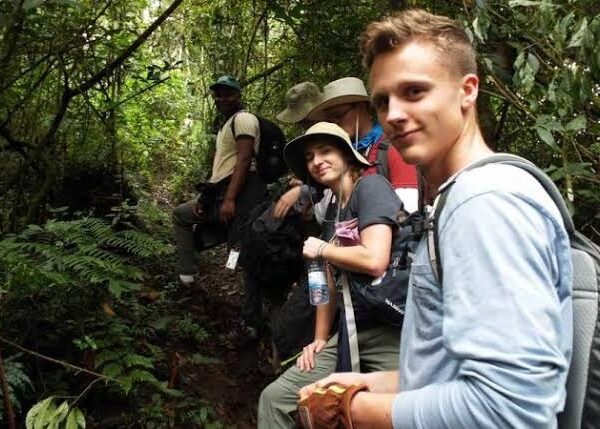 Guided Forest Walk in Gishwati-Mukura National Park