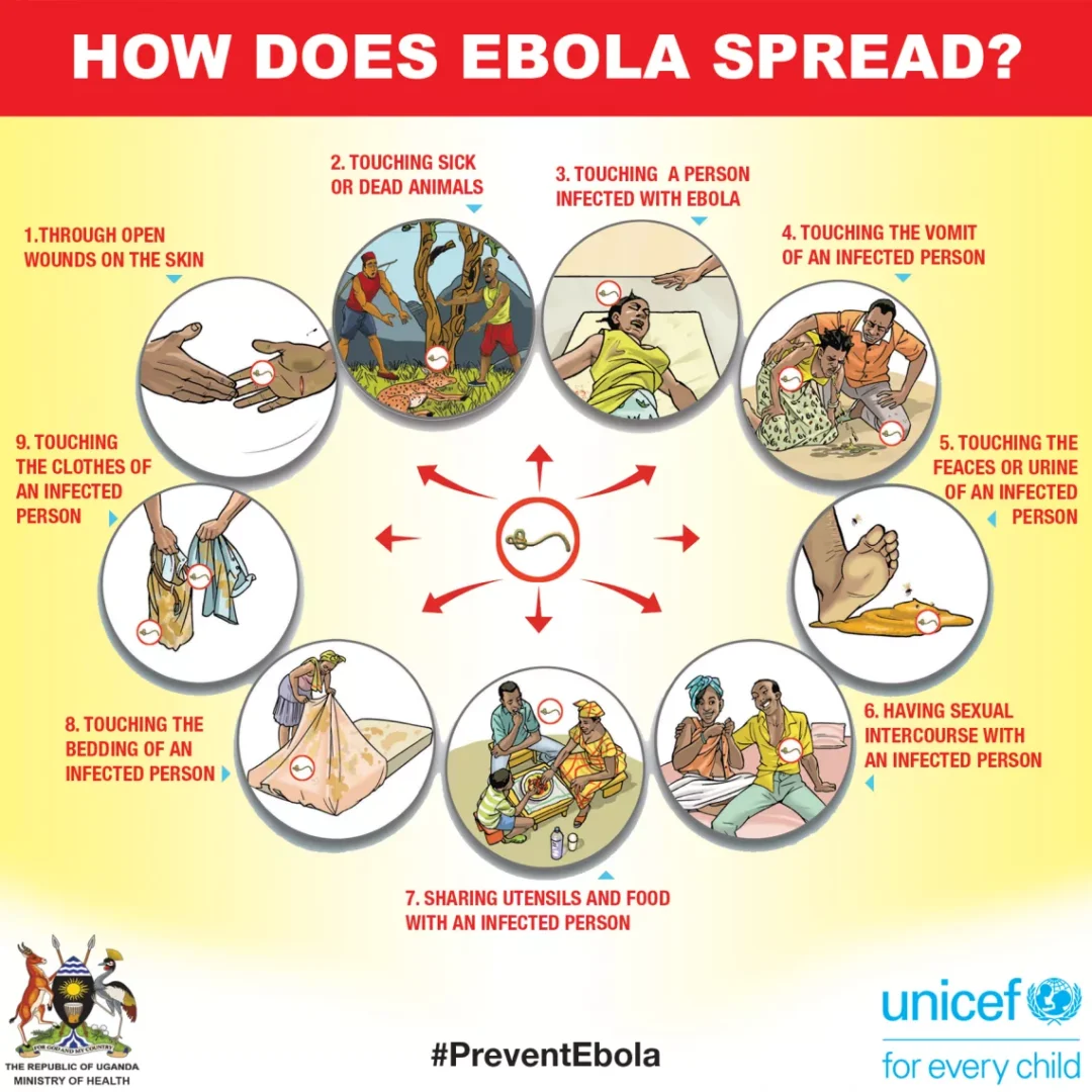 How Ebola Spreads and Safari Travel Health Awareness Ebola transmission information and health precautions for safari travellers