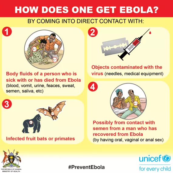 Ebola Transmission and Safari Traveller Safety Information Understanding Ebola transmission risks and preventive health measures during African safaris