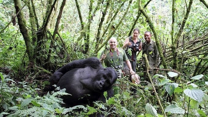 How Much Should You Tip Gorilla Trekking Guides in Rwanda How Much Should You Tip Gorilla Trekking Guides in Rwanda