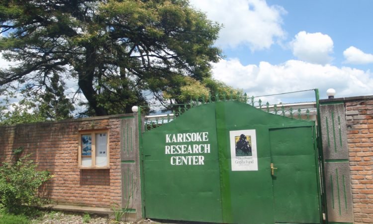 Karisoke Research Center in Rwanda