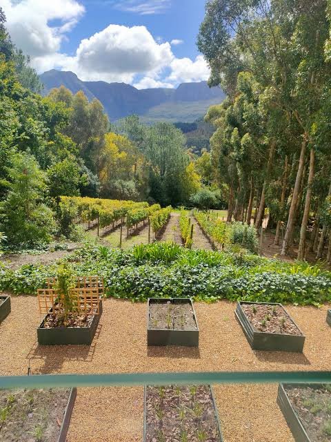 Le Colombe Garden in Rwanda – Garden Accommodation and Comfortable Safari Stay with Nextgen Safaris