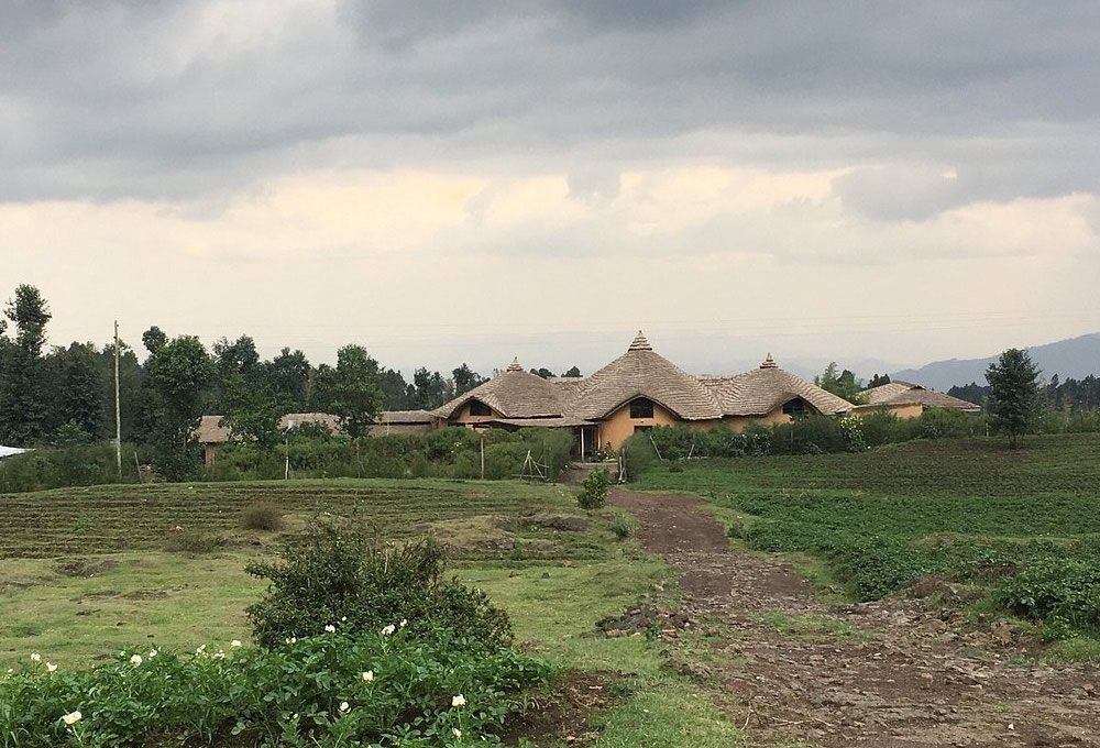 Amarembo Gorillas Village near Volcanoes National Park Rwanda