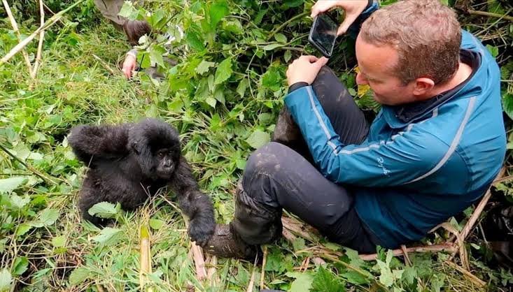Long-Sleeved Shirts for Gorilla Trekking in Uganda and Rwanda Long-Sleeved Shirts for Gorilla Trekking