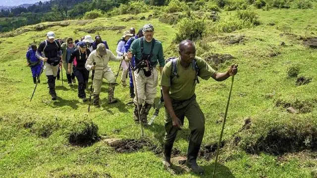 Mount Bisoke hiking experience in Rwanda