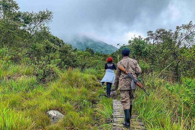 Mount Karisimbi and high altitude adventures in Rwanda