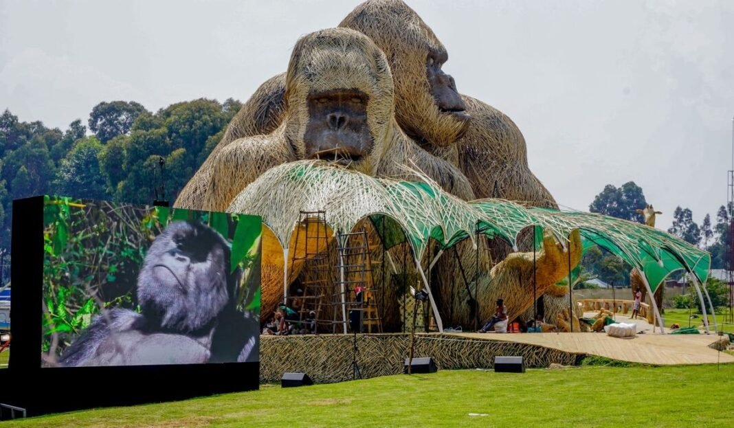 Mountain gorilla conservation and Kwita Izina ceremony