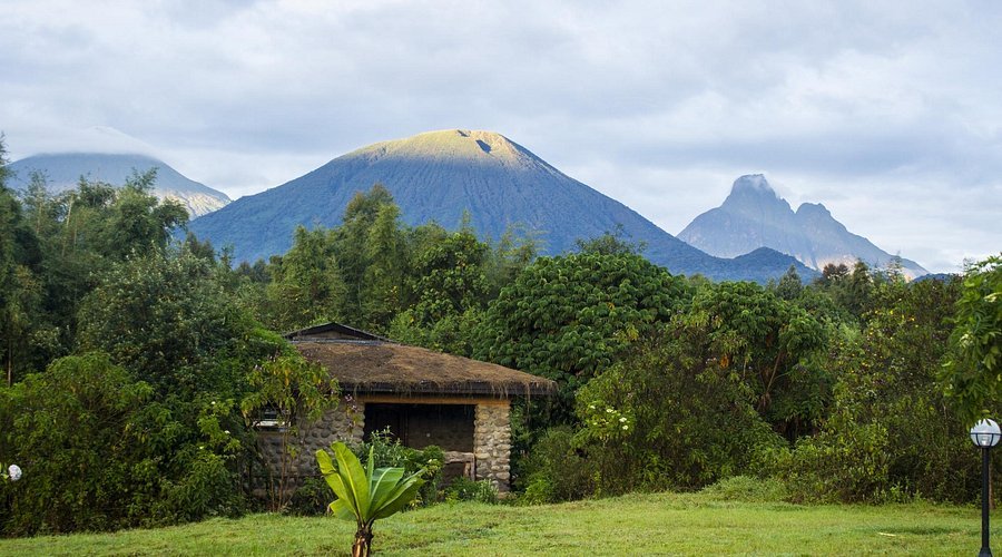 Mountain Gorilla View Lodge accommodation in Rwanda