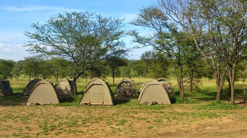 Mutumba Campsite in Akagera National Park Rwanda – Scenic Wilderness Camping and Safari Accommodation with Nextgen Safaris