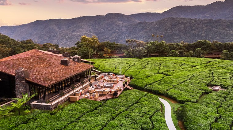 Nyungwe Tea Forest Resort accommodation near Nyungwe National Park Rwanda
