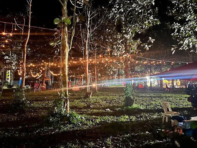 Private Transfers from Kampala to Nyege Nyege Festival – Nextgen Safaris Private Transfers from Kampala to Nyege Nyege Festival in Uganda – Comfortable Festival Transportation with Nextgen Safaris