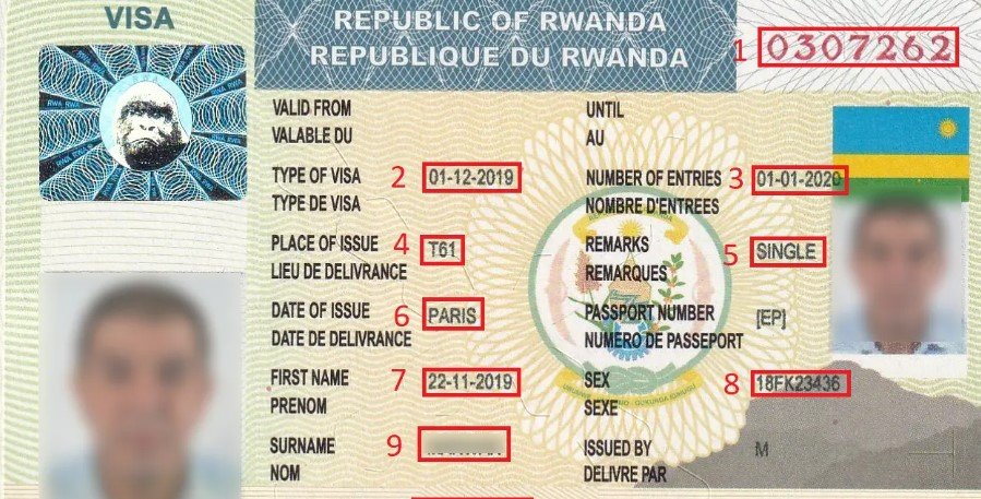 Rwanda Visa Requirements for Indian Citizens – Tourist Visa, Entry Requirements and Travel Information for Indian Visitors Planning Rwanda Gorilla Trekking Safaris with Nextgen Safaris