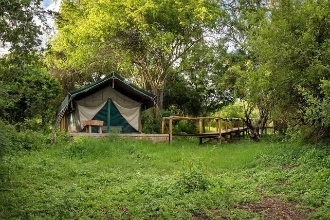 Shakani Campsite – Nextgen Safaris Shakani Campsite – Camping Accommodation and Outdoor Safari Experiences with Nextgen Safaris