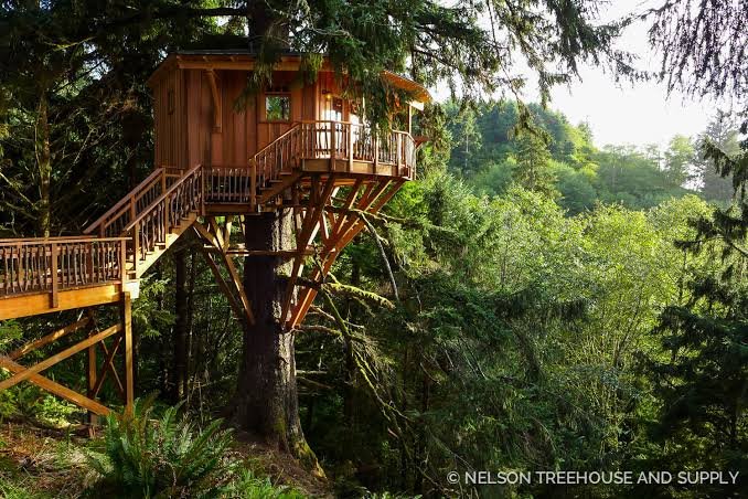 Susa Treehouse offering more space in the forest in Rwanda