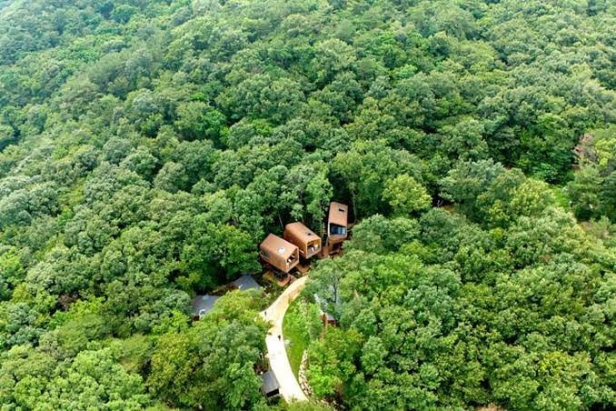 Susa Treehouse luxury accommodation in the forest of Rwanda
