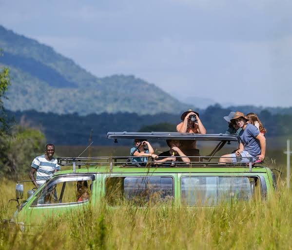Gorilla Tours from Taiwan – Nextgen Safaris Taiwan – Gorilla Trekking Tours from Taiwan to Uganda and Rwanda with Nextgen Safaris