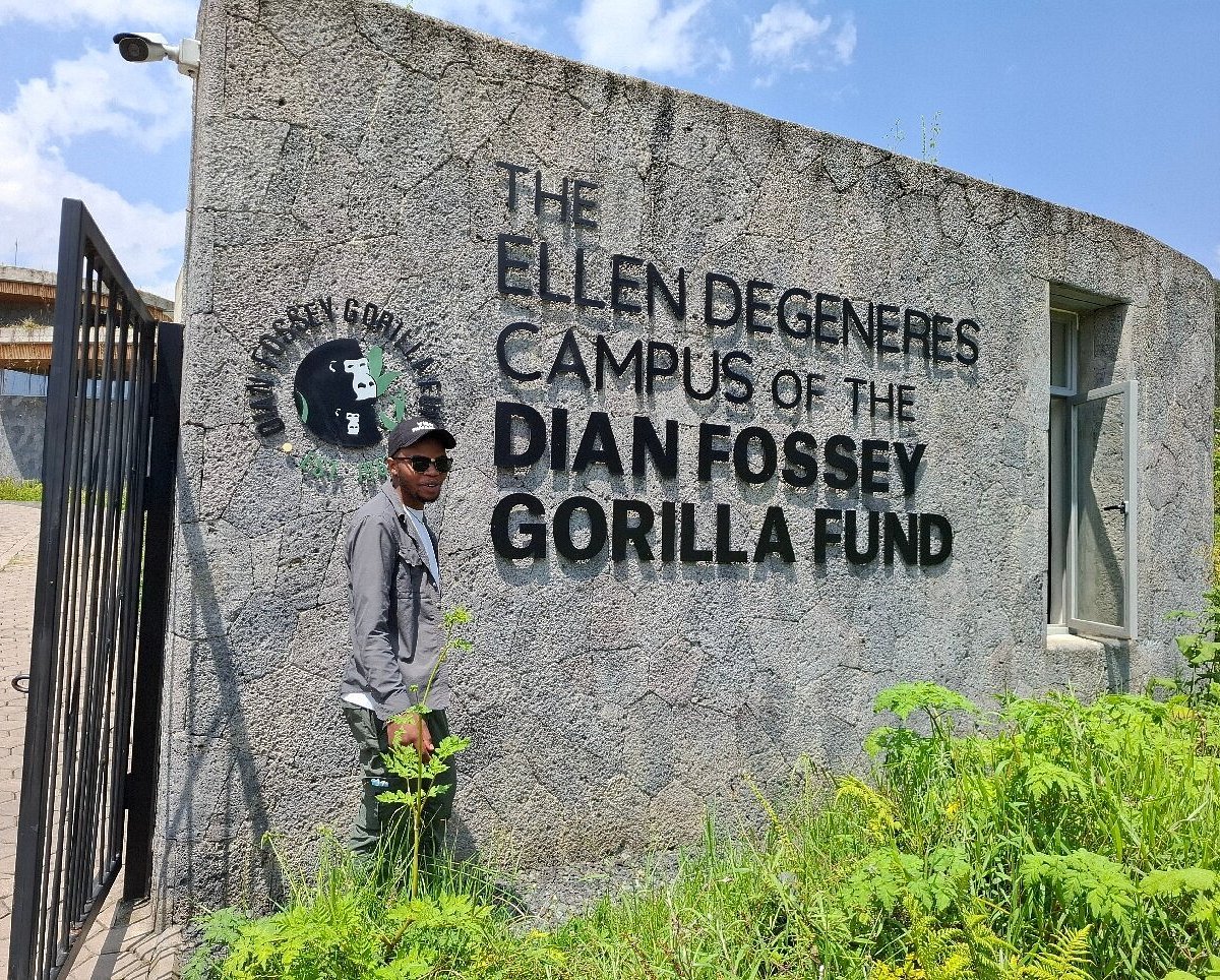 The Karisoke research center represents one of the most important chapters in the history of mountain gorilla conservation. Established by American primatologist Dian Fossey in Rwanda’s Virunga Mountains in 1967, Karisoke began with little more than two tents positioned between Mount Karisimbi and Mount Bisoke. From those extremely modest beginnings grew one of the world’s longest-running field studies of wild gorillas, a conservation legacy that transformed scientific understanding of 