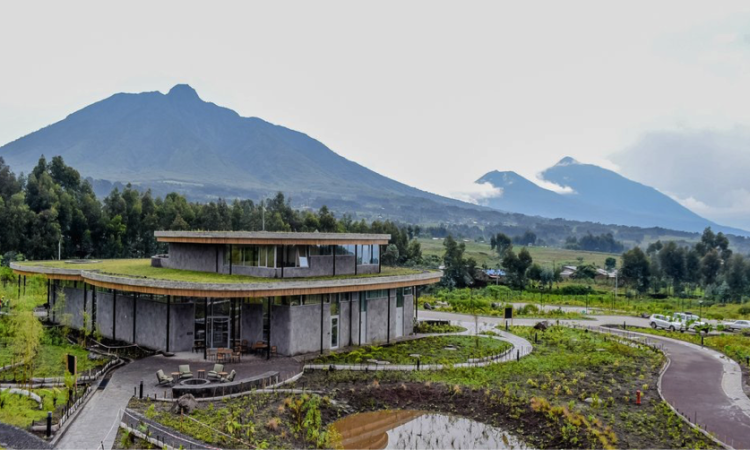 Dian Fossey and the founding of Karisoke Research Center