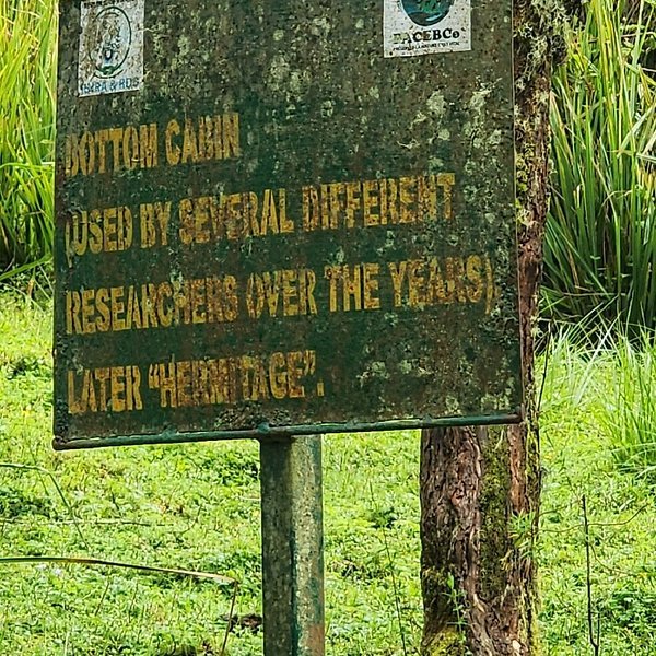 The historic Karisoke Research Site in Volcanoes National Park Rwanda