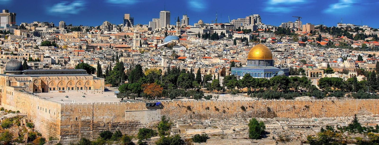 Gorilla Tours from Israel – Nextgen Safaris Gorilla Tours from Israel – Mountain Gorilla Trekking Safaris in Uganda and Rwanda for Israeli Travelers with Nextgen Safaris