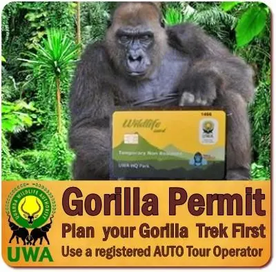 New gorilla permit costs in Uganda in 2027