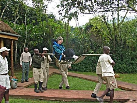 What is a sedan chair for gorilla trekking