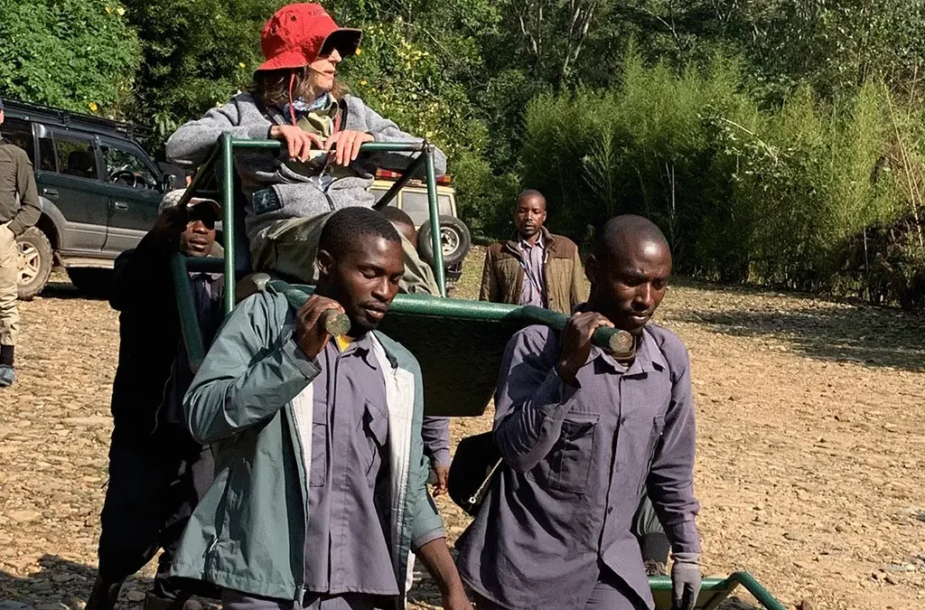 Sedan chair for gorilla trekking in Uganda