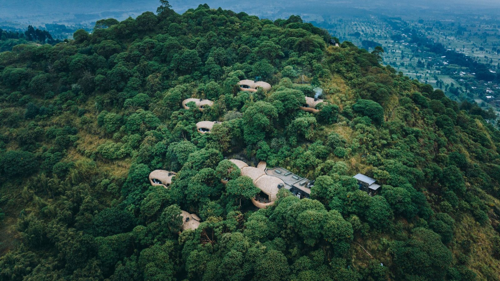 Wilderness Bisate Reserve for honeymooners in Rwanda