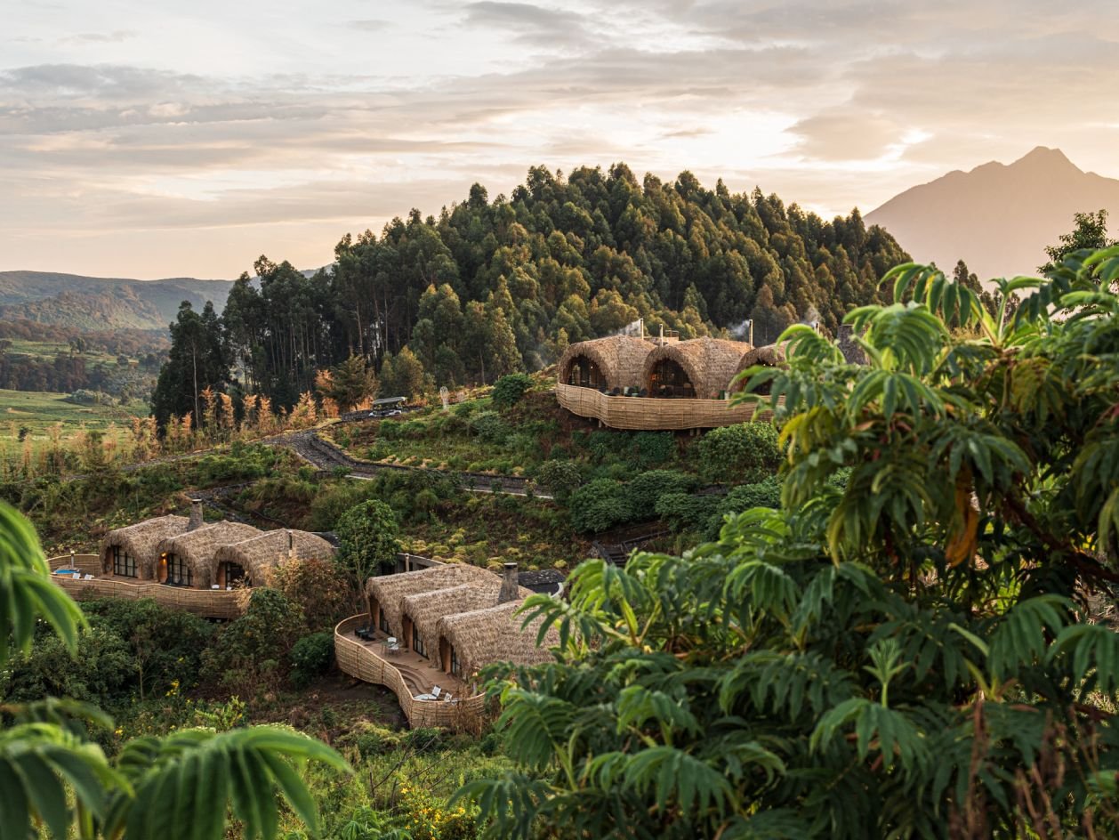 Wilderness Bisate Reserve luxury gorilla trekking accommodation near Volcanoes National Park Rwanda